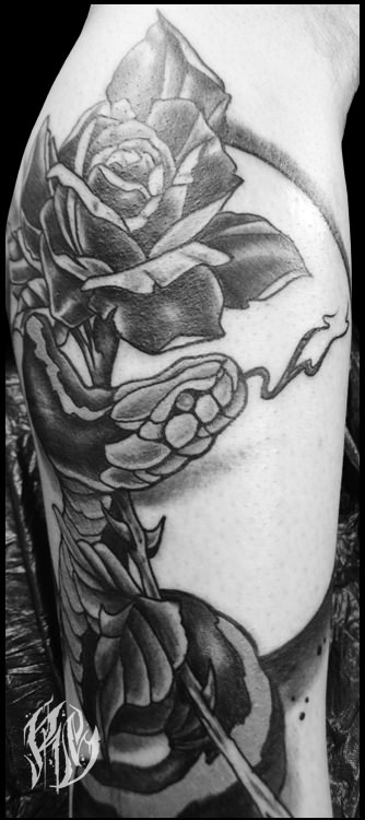 Snake Snaketattoo, coverup tattoo, Tattoo Black and Grey, shameyabc,